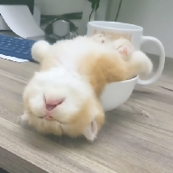 WWW,av130·COM网站APPAPP应用