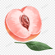 黄色视频软件下载APP应用