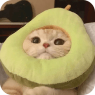 月光宝盒破解版盒子APP应用